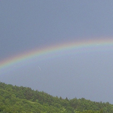 rainbow-g8241275a0_1920 (002)